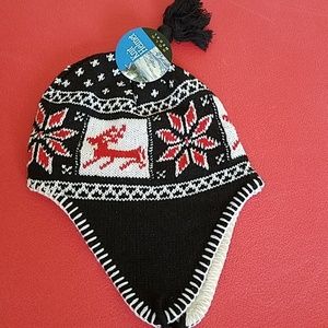 NWT Winter Themed Lined Hat